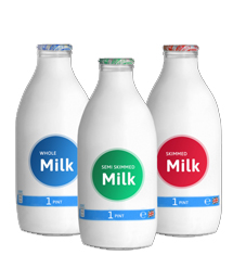 Business plus software